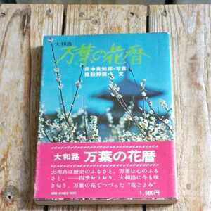 ☆朝日ソノラマ カラーフォトシリーズ 　万葉の花暦　田中真知郎＝写真　猪股靜彌＝文　朝日ソノラマ発行☆