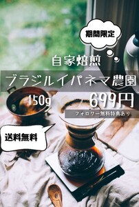 自家焙煎 ブラジル イパネマ農園 150g フォロワー無料特典あり 24時間以内