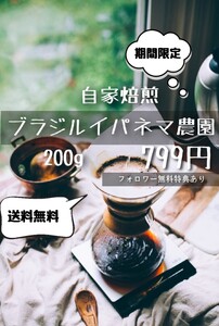 自家焙煎 ブラジル イパネマ農園 200g フォロワー無料特典あり