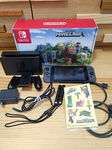 Nintendo Switch Minecraft セット