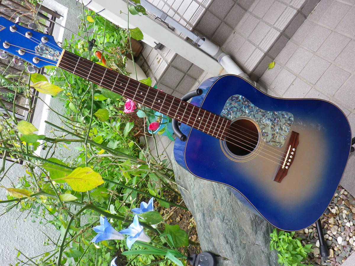 アコースティックギター アコギ ギター ブルーの値段と価格推移は 