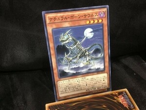 遊戯王 SR04-JP018 ナチュラル・ボーン・サウルス ノーマル 3枚セット 定形可