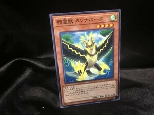 遊戯王 LVP1-JP069 精霊獣 カンナホーク ノーマル 3枚セット 定形可