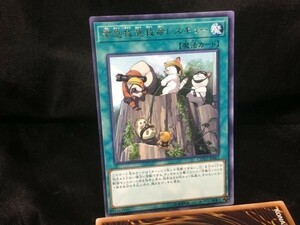 遊戯王 COTD-JP061 緊急救急救命レスキュー レア 2枚セット 定形可