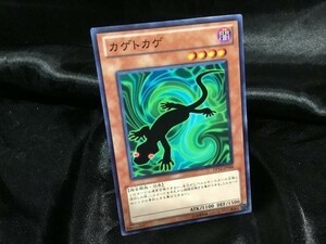 遊戯王 DP12-JP008 カゲトカゲ ノーマル 中古 c06 数3