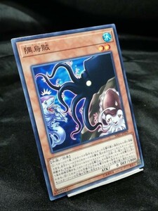 遊戯王 SAST-JP029 隅烏賊 ノーマル 3枚セット 定形可