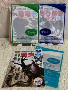 Mac小学館の図鑑NEO 3冊 昆虫・恐竜・化石