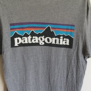 パタゴニア プリントTシャツ