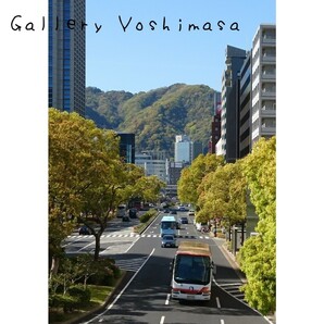 新緑「フラワーロード」2L判サイズ光沢写真縦 神戸風景写真 写真のみ 送料無料