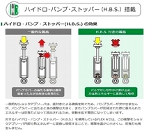 TEIN RX1 車高調 テイン (アールエックスワン) ヴォクシーハイブリッド ZWR80G (V/X) (FF 2014.02-2017.06) (VSQ98-M1AS3)_画像3