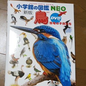 鳥 恐竜の子孫たち DVD無し(小学館の図鑑NEO 5) (新版) 上田恵介/監修 柚木修/指導・執筆 水谷高英/ほか画