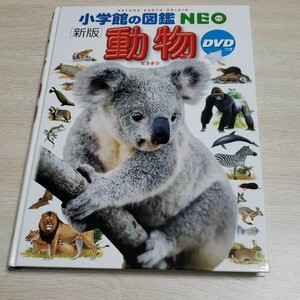 小学館の図鑑NEO動物　(DVD無し)