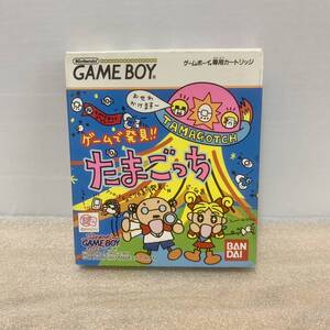 GB ゲームで発見!!たまごっち 中古 箱説あり ゲームボーイソフト