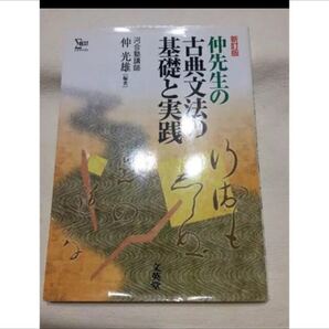 仲先生の古典文法 基礎と実践 古文 河合塾講師 問題集