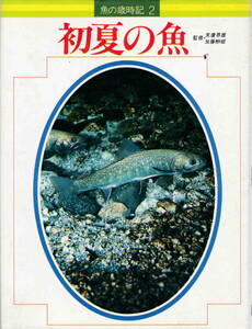  end .. male * Kato ....*[ fish. -years old hour chronicle 2 the first summer. fish ] Gakken .