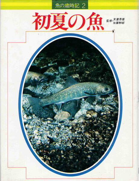 末廣恭雄・加藤楸邨監修★「魚の歳時記2 初夏の魚」学研刊