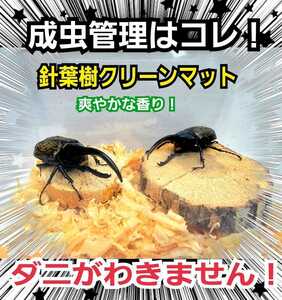 カブトムシ、クワガタの成虫管理にはコレ！爽やかな香りの針葉樹クリーンマット☆生体が目立ちケース内が明るくなります☆ダニわきません！