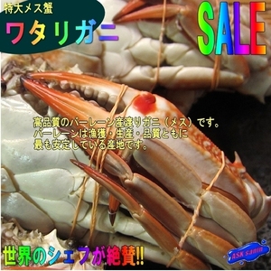 台湾ガザミ★メスのみ★ 「ワタリ蟹1kg」　10尾前後、 バーレーン産