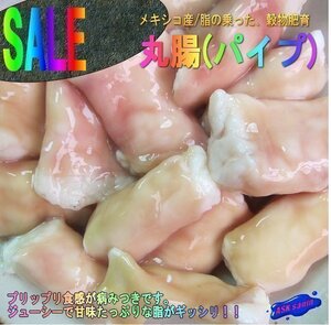 牛ホルモン「丸腸1kg」(パイプ)　本格焼肉店用..焼肉・BBQ、モツ鍋にもGOOD!!　