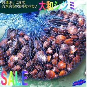 3)宍道湖七珍味「大和しじみ1kg」　〓汽水育ちの別格な味わい〓