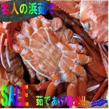 2)即納!! 特大【浜茹で蟹6尾で2.5-3kg】境港直送!! -6尾で2.5kg位-...「su冷紅蟹6尾で2.5kg」以上_画像2