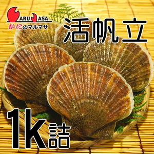 【かにのマルマサ】北海道産 活ホタテ貝 1キロ詰