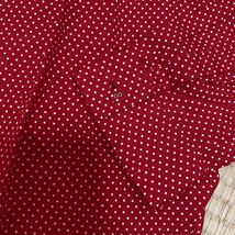 Seta ichiro セタ イチロー セタ イチロウ via bus stop ミラノコレクション レディース 女性用 長袖 シャツ ブラウス 水玉 赤系 2_画像8
