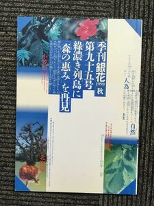 季刊 銀花 第95号 1993年 秋 （文化出版局）/ 森の恵 小笠原・熊野・高知・北海道