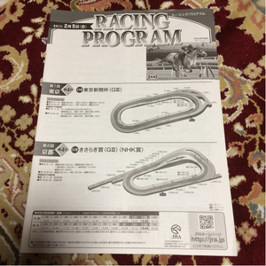 JRAレーシングプログラム2017.2月5日(日)東京新聞杯、きさらぎ賞