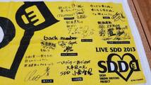 ♪LIVE SDD 2013 タオル♪三代目J Soul Brothers/他_画像2