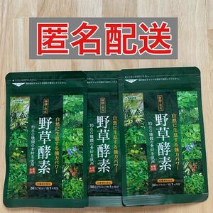 シードコムス 野草酵素 野菜 野草 果物 発酵 熟成 (約1ヶ月分×3）