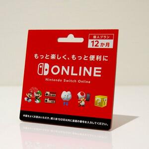 【匿名取引】個人プラン１２か月　Nintendo Switch Online　ニンテンドースイッチオンライン