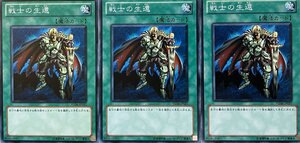 遊戯王 ノーマル 魔法 3枚セット 戦士の生還 YSD6