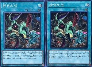 遊戯王 ノーマル 魔法 2枚セット 捕食生成 DP22