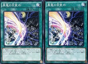 遊戯王 ノーマル 魔法 2枚セット 真竜の目覚め SHVI