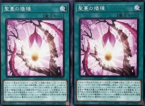 遊戯王 ノーマル 魔法 2枚セット 聖蔓の播種 BODE