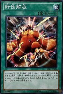 遊戯王 ノーマル 魔法 1枚 野性解放 SD24