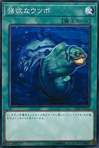 遊戯王 ノーマル 魔法 1枚 強欲なウツボ 20TP