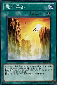 遊戯王 ノーマル 魔法 1枚 竜の渓谷 SD19