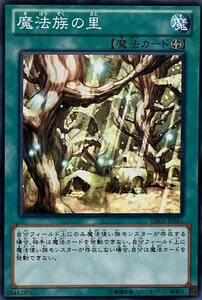 遊戯王 ノーマル 魔法 1枚 魔法族の里 DE03