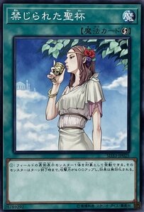 遊戯王 ノーマル 魔法 1枚 禁じられた聖杯 SD33