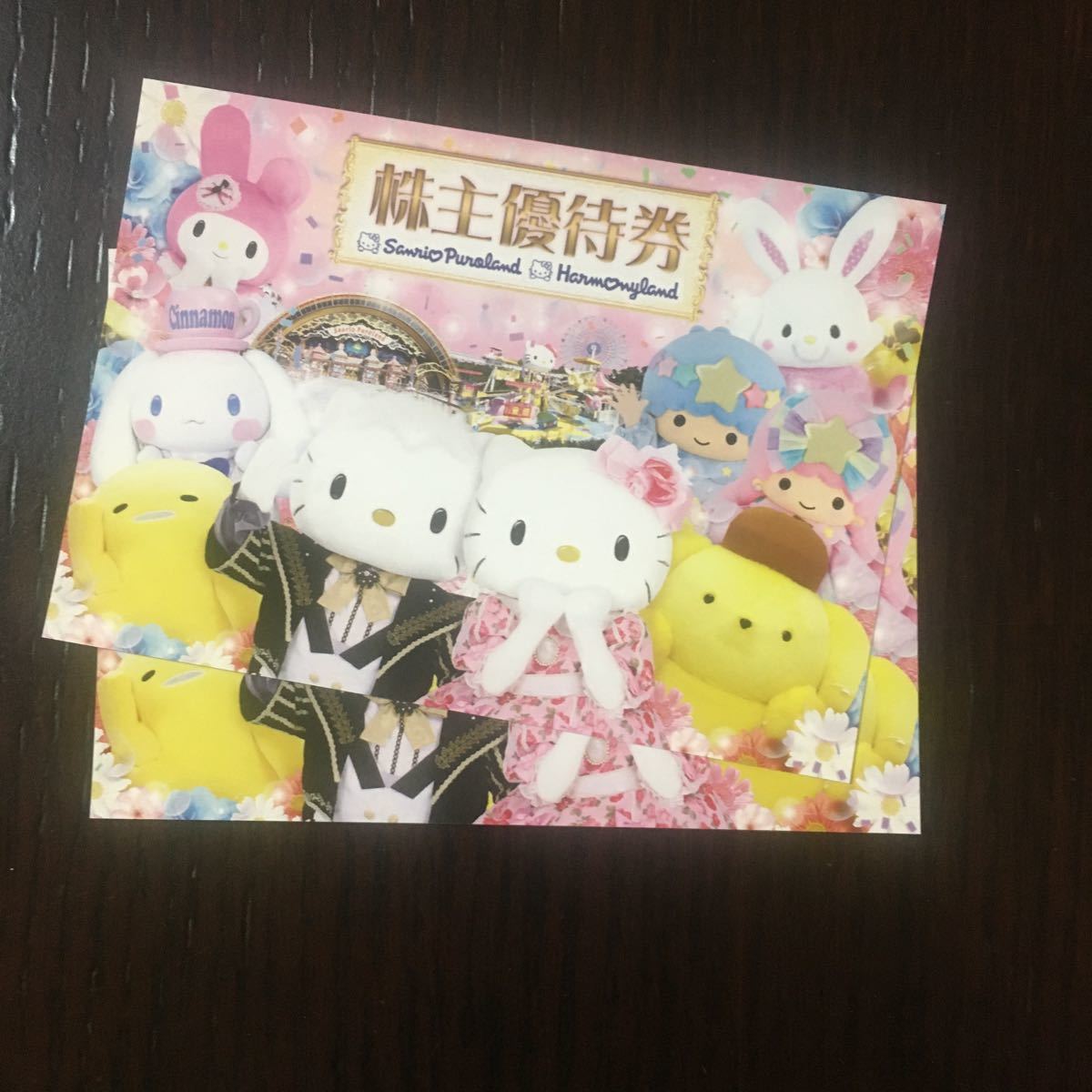 国内正規品】 サンリオピューロランド株主優待 2枚 セット 普通郵便