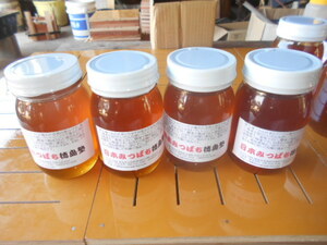 飼育のプロが採蜜した　2021年10月蜜の出品（完熟2年物　４本）　日本蜜蜂　日本蜂蜜　重箱式巣箱で採取　　　日本みつばち徳島塾