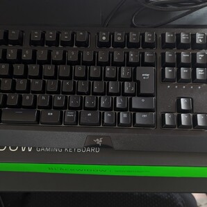 Razer Blackwidow jp green switch +静音リング