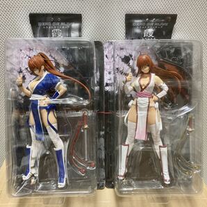 セガ SEGA DEAD OR ALIVE デッドオアアライブ feat. 山下しゅんや 霞スペシャル エクストラ フィギュア 2体セット