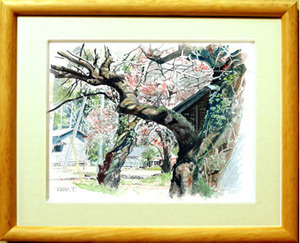 Art hand Auction □Nein. 7975 Frühlingsillustration von Kimiko Tanaka/Kommt mit einem Geschenk!, Malerei, Aquarell, Natur, Landschaftsmalerei