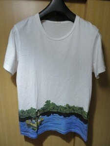 GU Dragon Ball print T M size 