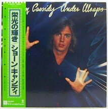 LP,ショーンキャシディ　SHAUN CASSIDY　栄光の輝き_画像1