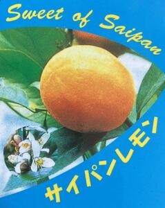 Семена Saipan Lemon ureca