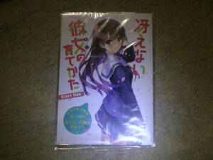 未使用 冴えない彼女の育てかた GIRLS SIDE とらのあな特典8P小冊子 丸戸史明 深崎暮人 リーフレット